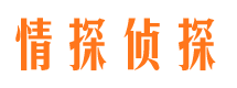 平远外遇调查取证